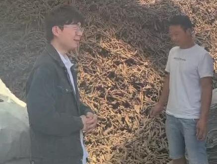 木香产地实地简要调查