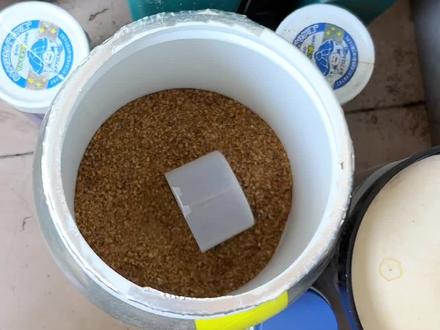 养钻纹龟只能说,难了不会,会了不难#养龟日常 #龟龟🐢 #奇妙的动物 #爬宠 #人工繁殖