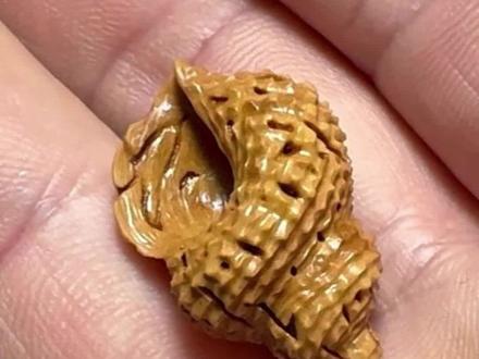 桃核海螺的雕刻方法 #手工#雕刻#桃核#海螺#手艺人