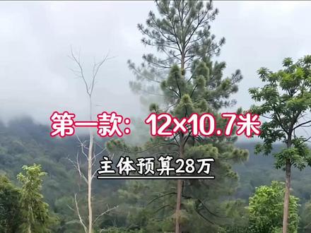 2026农村也能建好看的,新中式官帽二层自建房,给大家推荐六款,外观精美大气,户型实用还造价低,总有一款你中意的。#自建房设计 #农村自建房 #别墅设计 #图纸设计 #建筑设计