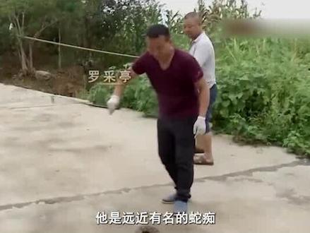 蛇王养五步蛇有一绝,把毒蛇驯得像亲儿子,年收入高达2000万! #三农养殖 #五步蛇 #蛇毒