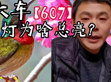 607国六车,尿素灯为啥总是亮?#国六 #硫中毒 #限速限扭 #频繁再生 #scr转化效率低 #尿素费