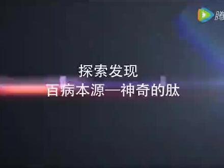 CCTV《探索~发现》