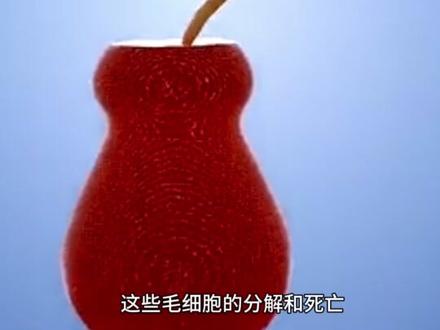 超级海啸得威力有到底多恐怖😱#科普一下 #海啸