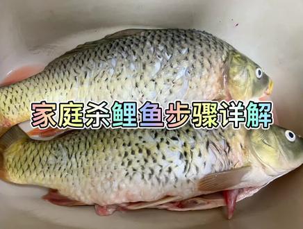 家庭杀鲤鱼步骤详解。一起狂飙,来追2023年的第一条锦鲤#杀鱼技术 #祝大家年年有鱼 #老默我想吃鱼了