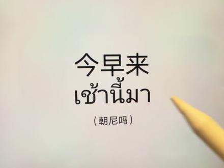 今日份帕撒泰#泰语 #泰国 #泰语教学 #泰语学习 #泰兰德