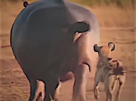 封面已改 好友你始终慢我一步#抽象 #猎奇 #魔性律动舞