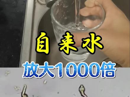 自来水放大1000倍,最好是煮沸后再饮用。