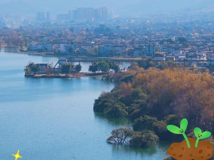 🌱把洱海的春天带回家!植树节限定种子卡免费领~#际麓大理奔赴山海 #中旅游大理 #大理洱海生态廊道 #洱海生态廊道 #洱海春韵