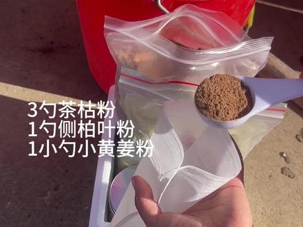 不要盲目用茶麸粉侧柏叶洗头#茶枯粉#茶麸洗头