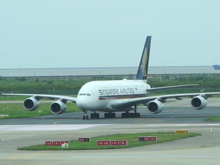 新加坡航空A380 SQ833飞行记录#a380 #飞机 #追飞机的人 #飞机降落