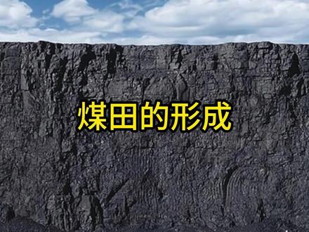 煤层厚达900米,绵延上千公里!世界最大的煤田是植物形成的