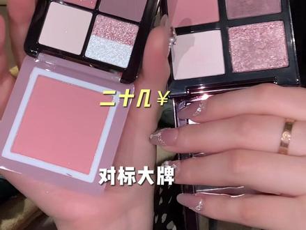 这20多和800多我是真分不出来 #眼妆 #眼影 #平价彩妆 #大牌平替