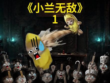 《小兰无敌》第1集 #猫meme #猫meme故事 #猫meme剧场 #超爆小故事 #猫meme推文