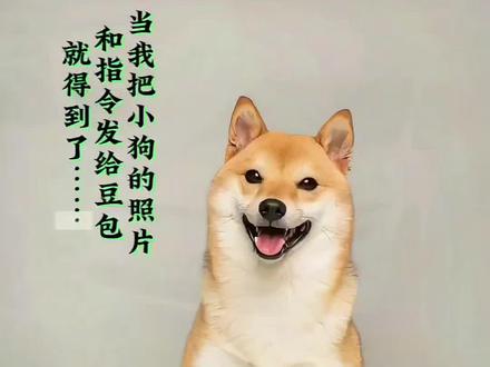 宠物放鞭炮豆包Al指令教程来了#宠物放鞭炮#豆包ai #豆包P图已经nextlevel了#豆包出大片有两把刷子#抖音ai制作