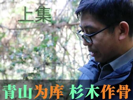 正骨手艺人 论杉树皮小夹板是怎样炼成的(上集)#中医正骨 #杉树皮 #小夹板 #外固定 #医学科普