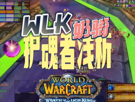 奶骑护魂者饰品浅析。。#魔兽世界怀旧服 治疗职业#巫妖王之怒 护魂者好不好!!上下限差距很大!