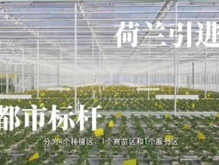 #三农#现代农业#都市农业
智慧农业的先行者?上海打造世界级大型温室,年产高品质农作物逾7000吨!