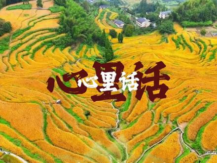 湾湾,我们等你回家~#浙江文旅 #两岸统一 #湾湾 #回家