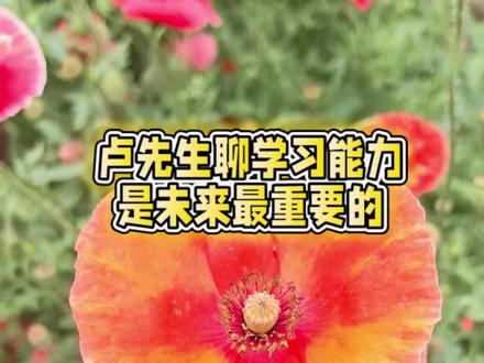 #卢国东 #不断学习不断进步#好好爱自已❤❤ @抖音小助手