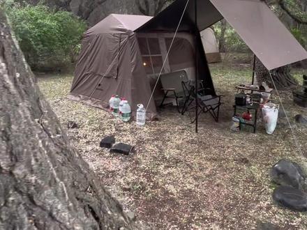 挪客屋脊6.0帐篷测评#屋脊13 #户外露营🏕 #露营帐篷 #挪客 #露营装备