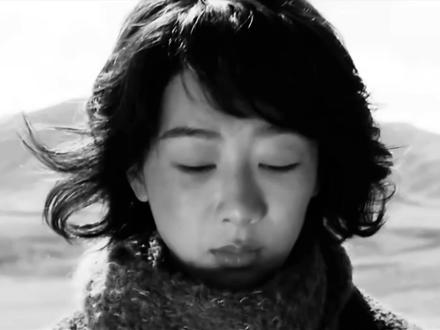 18岁的你熠熠生辉
#杨紫 #白菊 #生命树 #我会找到逆转时间的公式