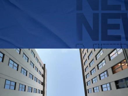 一天研究一家上市公司 浙文互联 一天研究一家上市公司 #浙文互联 #股市 #股民 #上市公司 #投资