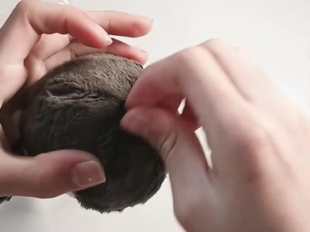 王冷静2.0开箱#王冷静 #王橹杰