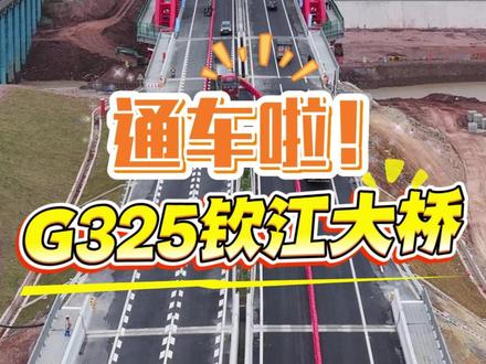 通车啦!G325钦江大桥今日正式通车!#平陆运河 #好消息 #G325钦江大桥 #通车 #广西钦州