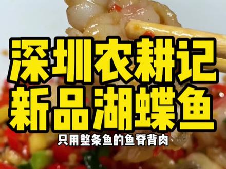 在深圳的湖南人都会去的湘菜,农耕记月月上新#不用挑刺的湖蝶鱼 #湖蝶鱼不是蝴蝶鱼 #跟着抖音去探店 #抖音搜索流量来了 #特色湘菜馆子