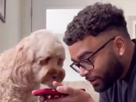 AI可以实现人宠交流了!华人研发的“Traini”AI翻译狗狗语言准确率已达81.5% 。