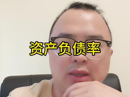 资产负债率!#负债率