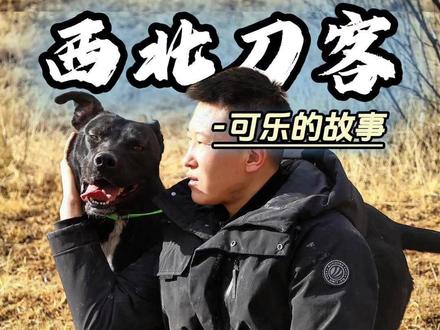 晚安 我的保镖#星乡村星农人 #西北刀客 #西北刀客可乐 #护农助农