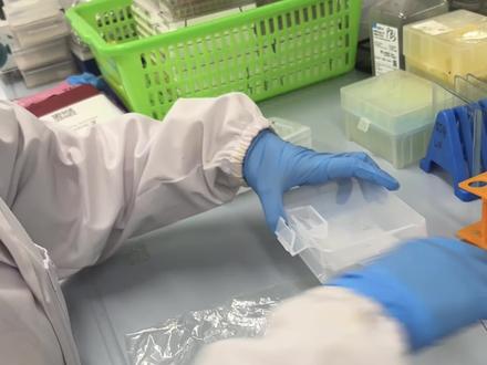 #实验室日常 #研究生 #WB实验 #科研 #读博的日子
之前已经分享了电泳、转膜和细胞冻存,大家可以看前面的视频哦~
今天是western实验的后续步骤:裁膜、敷一抗二抗、洗膜、发光、显影
视频内容:
0:00~2:20 裁膜方法
2:20~4:30 pvdf膜的使用
4:30~4:50 转膜条件终极公式
5:15~7:40 一抗孵育和注意事项
7:40~8:40 洗膜,发光注意事项
发转膜视频的时候有粉丝问我推荐pvdf膜,我现在用的是cobetter家的(科百特),对标默克,我的使用感受是和默克的pvdf膜效果没差的,并且拍视频又做了个测验,展示了默克和科百特的使用结果~(视频中已经展示啦)
默克的pvdf膜相对来说比较贵,我们组之前也用的这个,后来组里人太多用不起了,cobetter的会更友好一些,但是做出来的结果都差不多,完全可以替代~而且基本不影响蛋白strip的效果
cobetter的pvdf膜有不同规格的➡️卷/片,卷式的需要自己裁,片式的不需要自己裁,可以直接用,更方便,根据自己需要选择就可以!
个人比较喜欢片式的,膜不弯曲,转膜和发光的时候,使用手感更好,也更不易翻车❗️
他们家现在还有试用装,感兴趣的宝可以使用感受一下😜@科百特