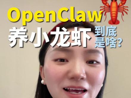 全网都在养的小龙虾AI,🦞到底是啥?#OpenClaw #openclaw小龙虾 #AI小龙虾 #AI智能体 #ai智能体工作流