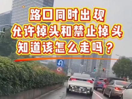 路口同时出现允许掉头和禁止掉头,该怎么走?!#汽车知识 #每天一个用车知识