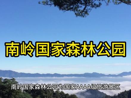 南岭国家森林公园