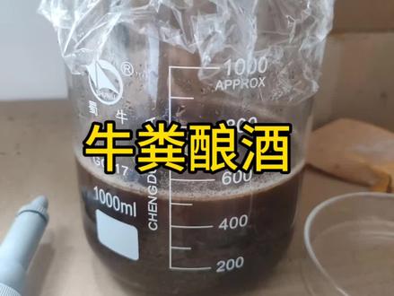 主包教你用牛粪酿酒#生物#化学#酒#曼波#抽象