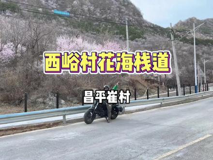 昌平又一赏花宝地即将开放#山花烂漫 #最美的风景在路上 #花开满山间 #昌平吃喝玩乐