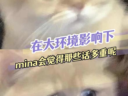 大环境影响下,Mina会觉得某爱豆说的话多重#追星 #网暴 #mina #enhypen #Mina