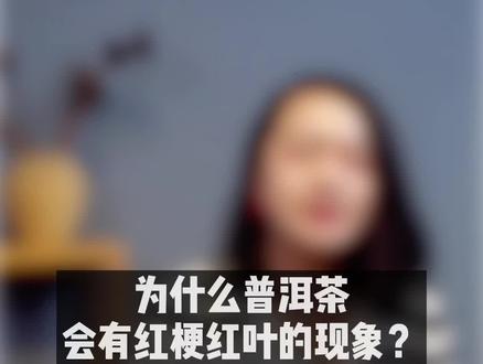 普洱茶出现红梗红叶时,会不会有影响,那些原因造成的。#普洱茶#茶知识 #茶 @DOU+小助手