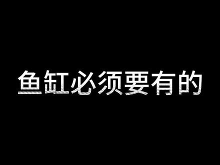 最后一名很多人都没有想到吧!说说那种清洁鱼的效果最好?你的鱼缸都有哪些清洁工鱼?#新手养鱼 #养鱼 #养鱼日记 #养鱼人 #养鱼小知识