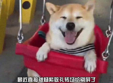 种花送真花?杨紫代言的我的花园世界我一定要去玩!#杨紫代言我的花园世界 #杨紫我的花园世界品牌代言人 #我的花园世界 #玩游戏送真花