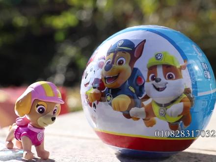 汪汪队立大功毛毛天天拼积木