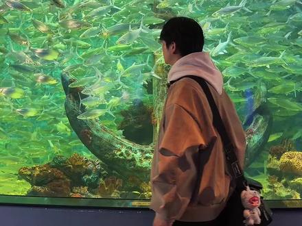 郑州真的是一个很适合穷游的城市,这里没有海,于是河南人自己创造了一片海~#郑州海昌海洋公园