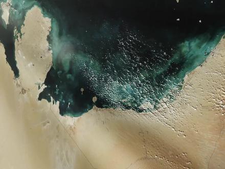 【科普】哈尔克岛,伊朗的“命根子” 波斯湾西北部,有一座面积不到20平方公里的小岛,比上海黄浦区还小。#伊朗vs美国 #伊朗