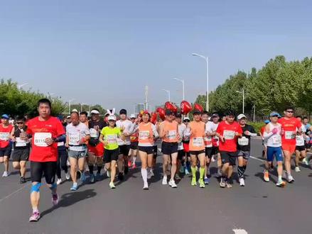 跟着兔子跑,上镜少不了。感谢朋友们发来这么多视频,太给力了#第15届郑开马拉松赛