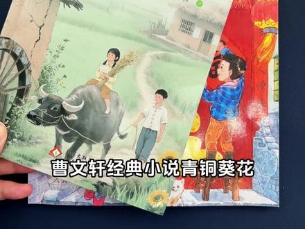 #青铜葵花 在享乐主义泛滥的今天,无疑是另一种声音,#四年级必读书目 #课外阅读 #阅读 #曹文轩