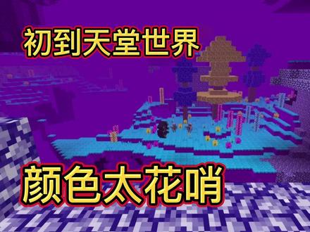 虚无世界2生存9:进入天堂世界,颜色太炫导致我想离开 #我的世界 #虚无世界 #mc不灭