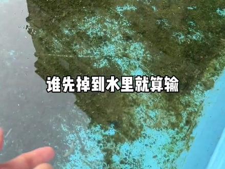 酱油白米饭 酱油白米饭 #不笑算我输#酱油白米饭#一定要看到最后#意想不到的结局#搞笑日常#不笑算我输